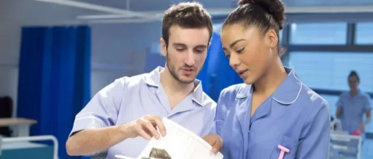 Increasing New Graduate Nurse Retention from a Student Nurse Perspective 